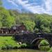 Black Lion, Consall
